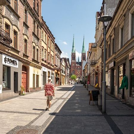 Central Platinum Apartments 28 Z Balkonem Rybnik  Kültér fotó